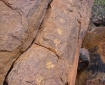 p1000662