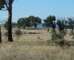 p1000250