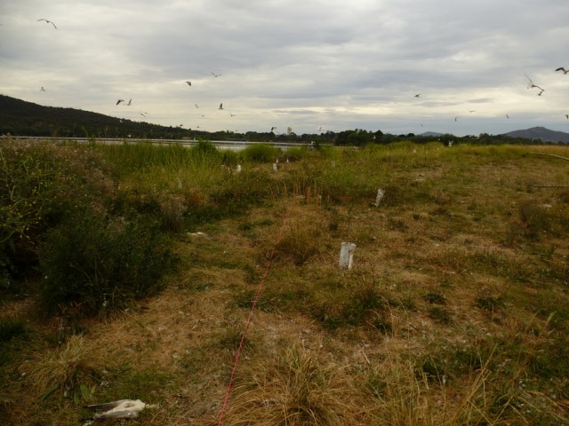 P1020675